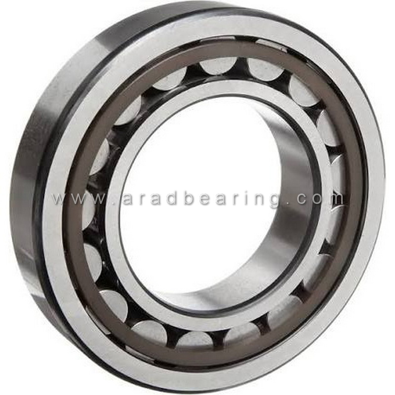 رولبرینگ استوانه‌ ای اس کا اف SKF NU219
